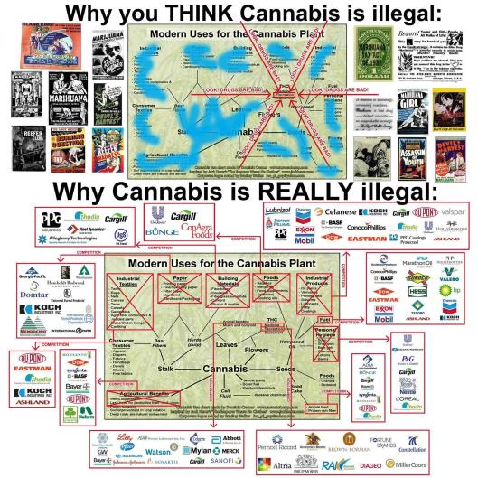 hemp-cannabis-marijuana-maryjane-vaping-vape-vaporize-aromatherapy-smoking-maryjane-mary jane-420-four twenty-prop 215-smokeshop-legal-legalize it